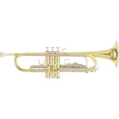 Trompettes Roy Benson TR-202 Bb