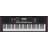 Roland E-X10